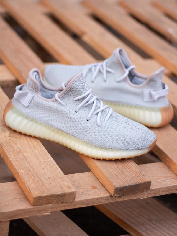 Adidas Yeezy Boost 350