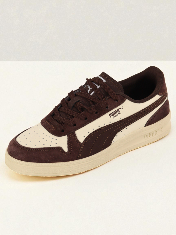 Puma Indoor