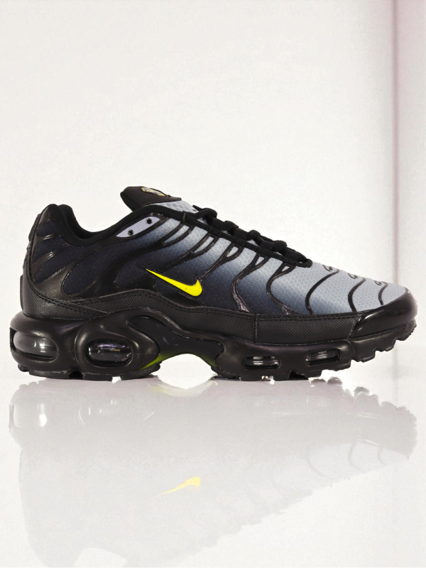 Nike Air Max Plus