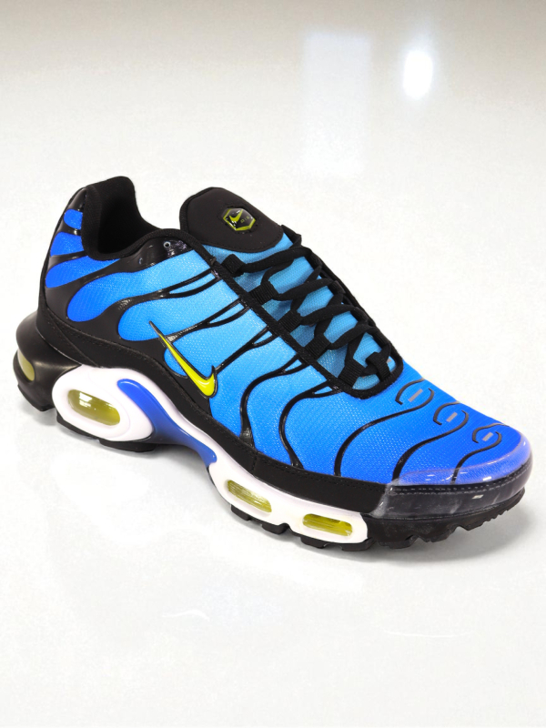Nike Air Max Plus