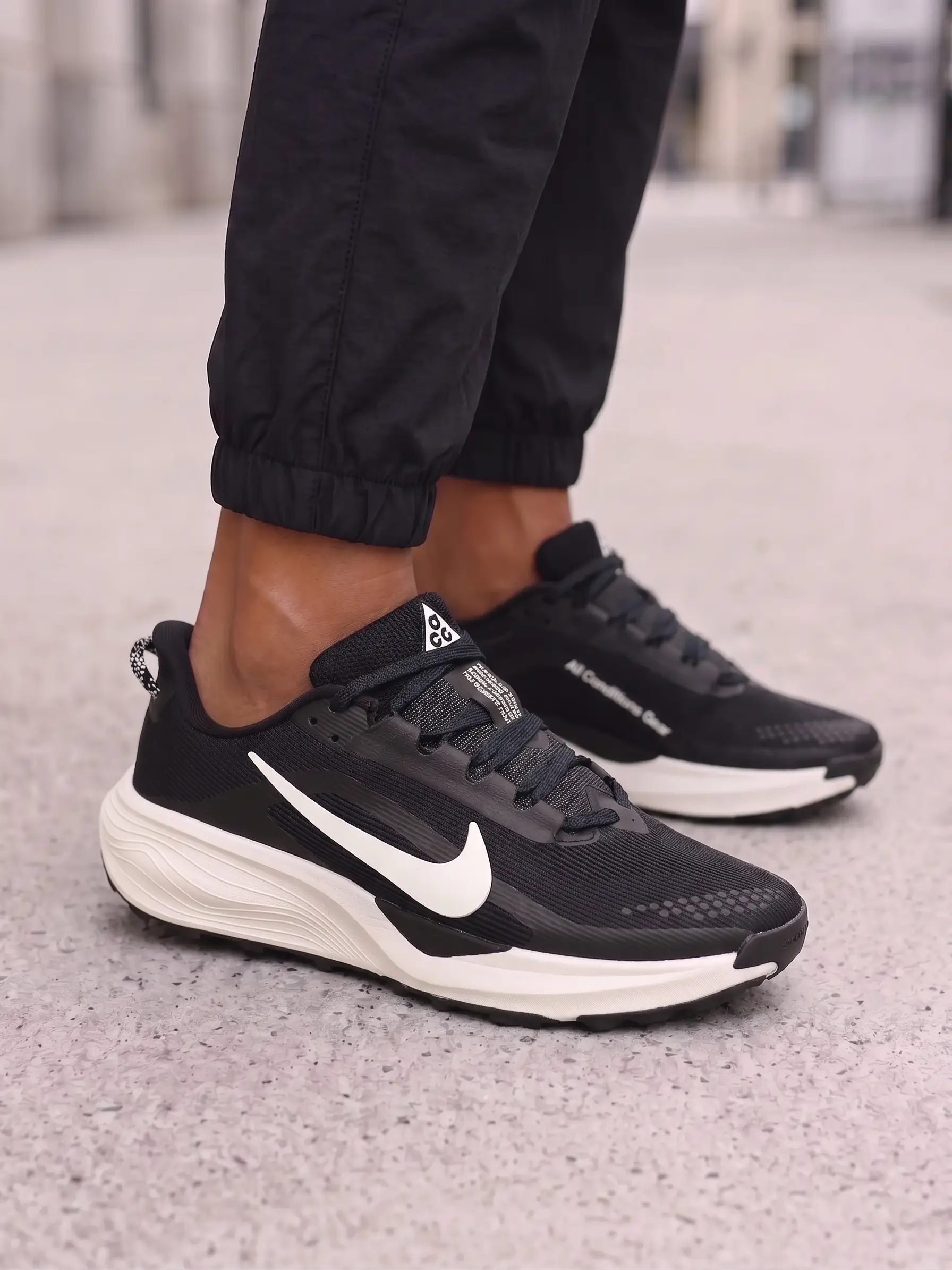 Nike ACG Pegasus