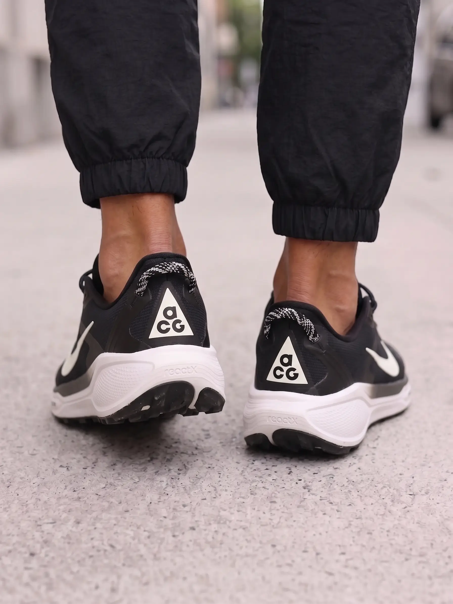 Nike ACG Pegasus