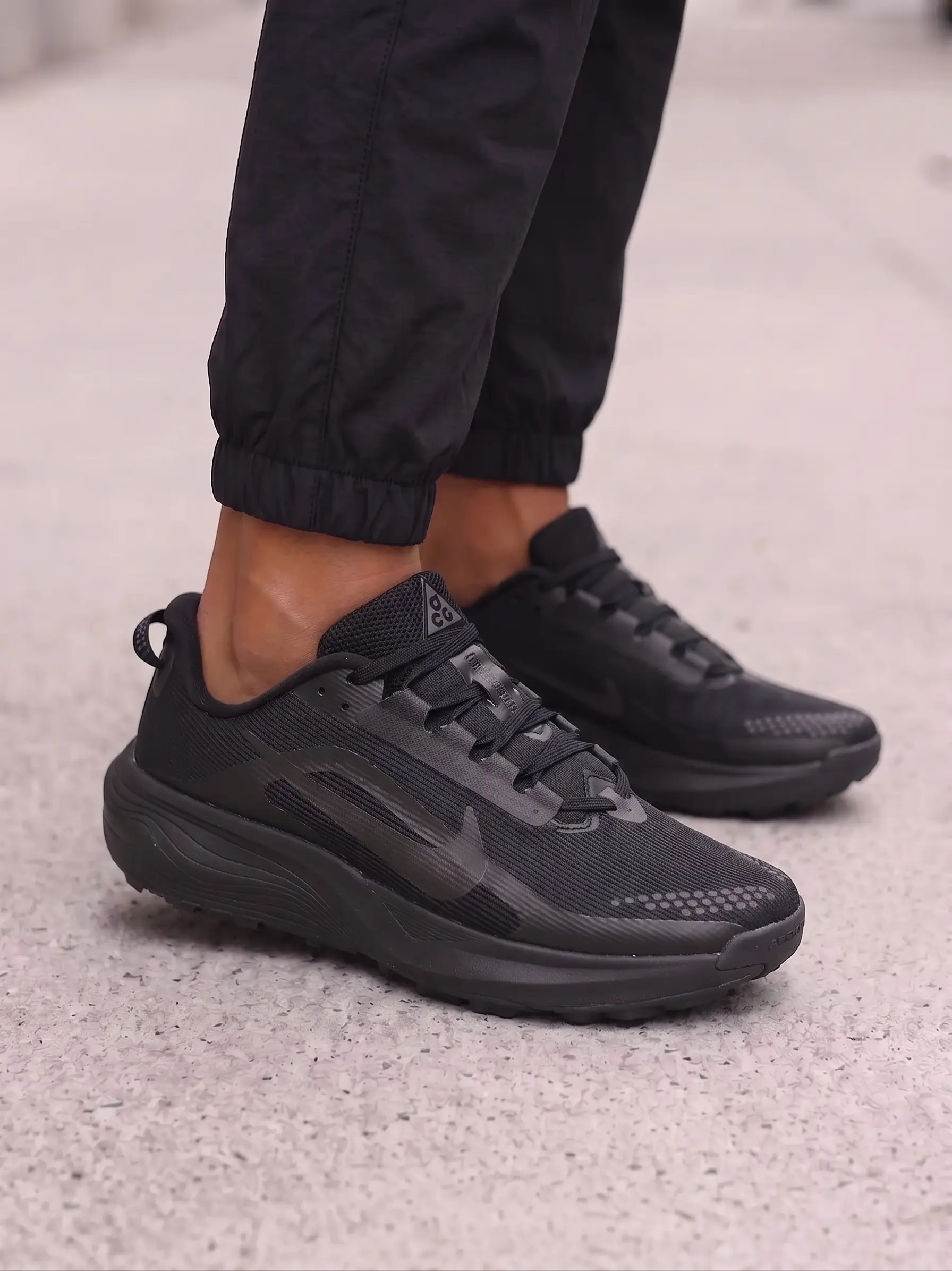 Nike ACG Pegasus