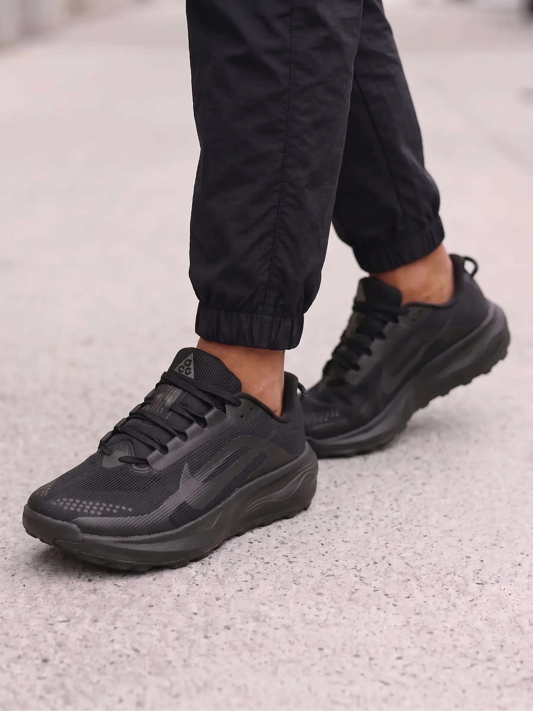 Nike ACG Pegasus