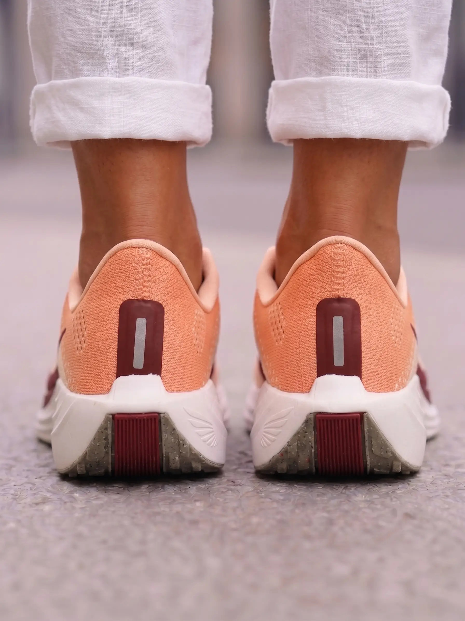 Nike Pegasus Easyon