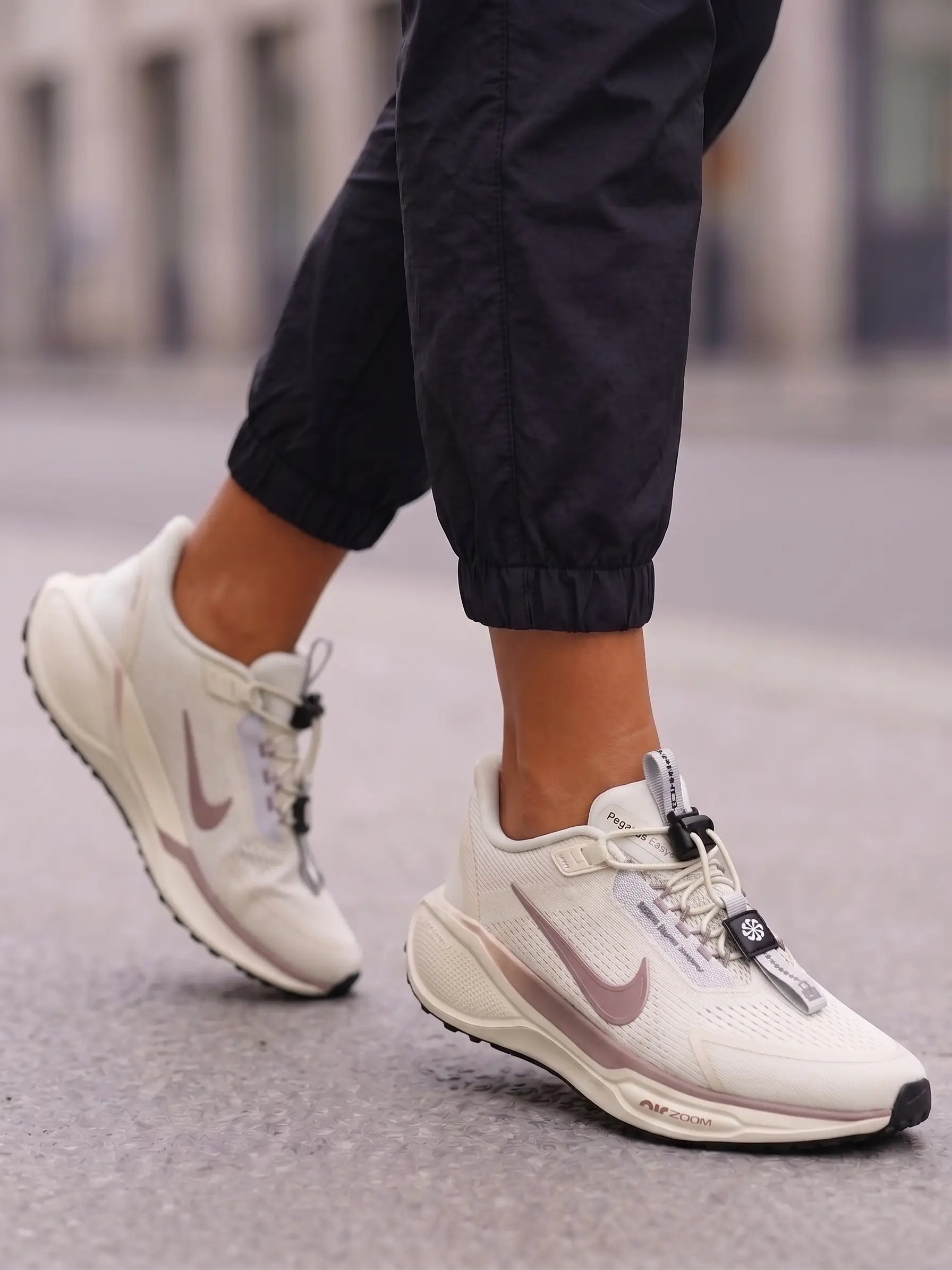 Nike Pegasus Easyon