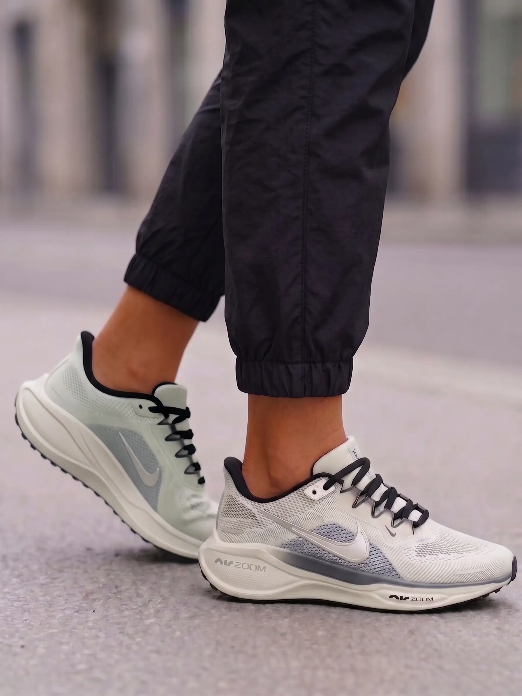 Nike Pegasus Easyon