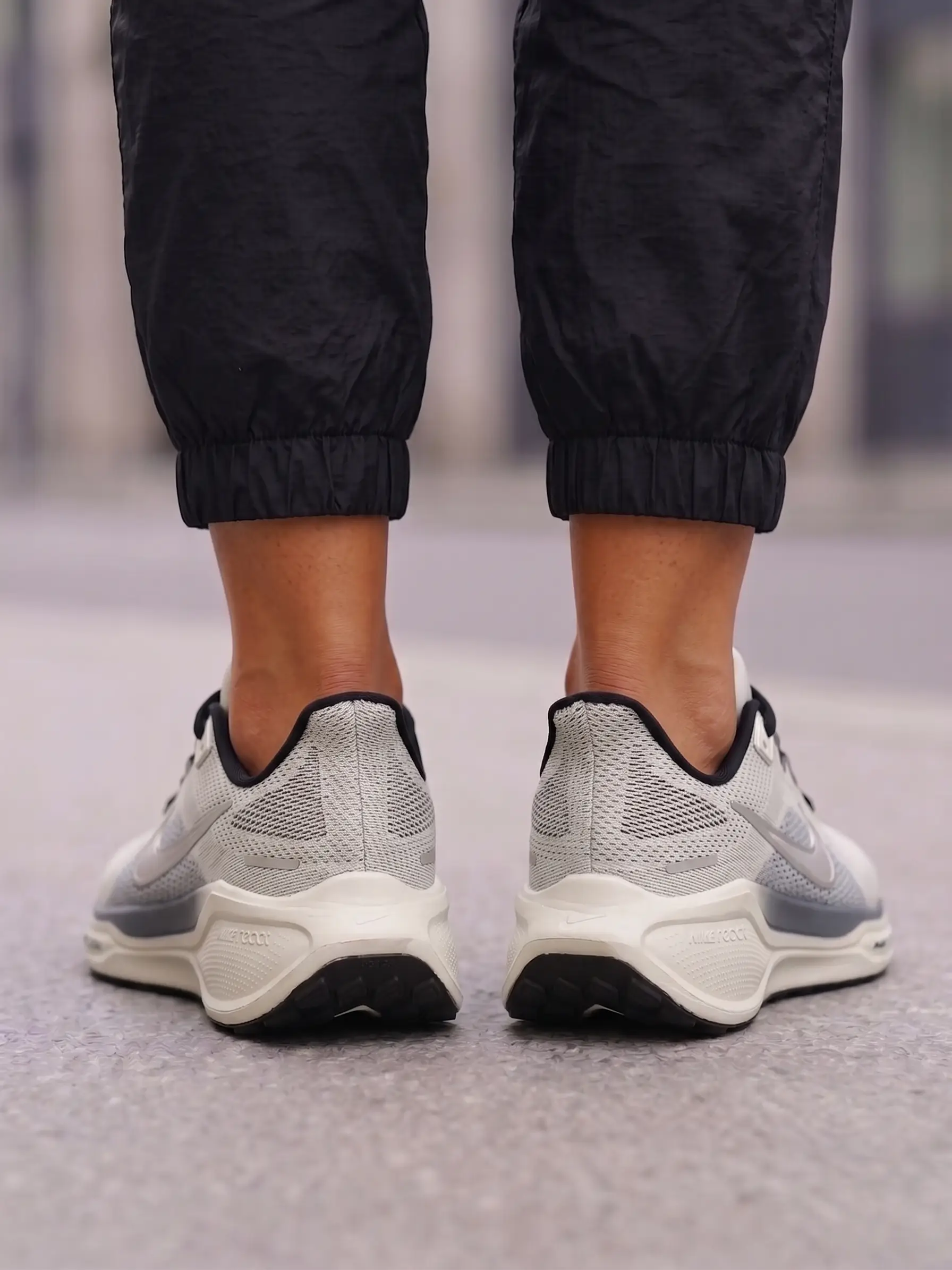 Nike Pegasus Easyon